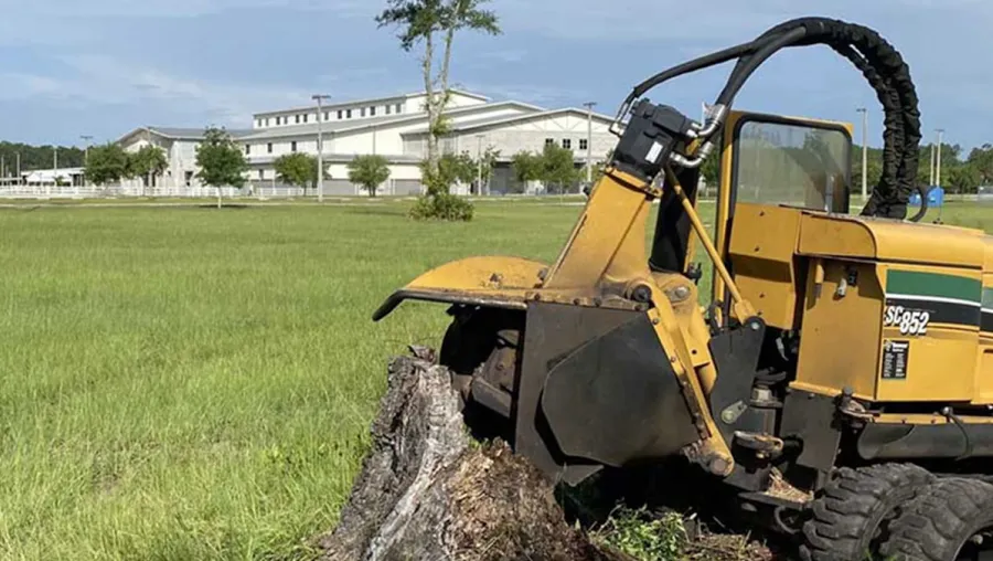 stump grind service chattanooga tn