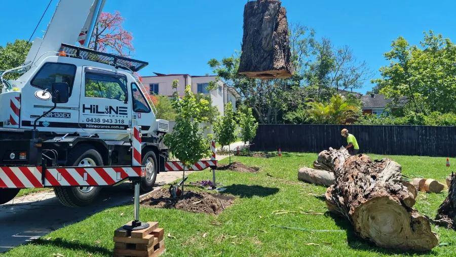 tree removal service chattanooga tn tree removal service chattanooga tn