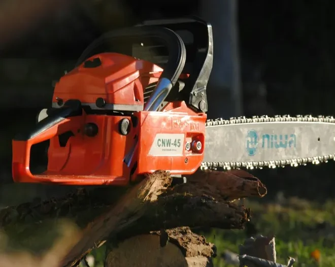 removal tree about chattanooga tn