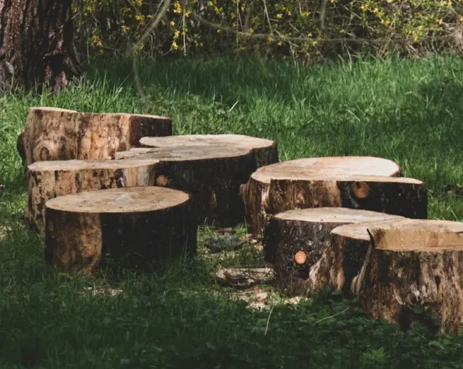 stump grinding service reliable