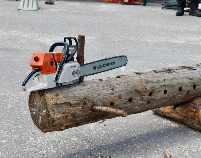 tree removal reliable